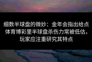 细数半球盘的微妙：金年会指出给点体育博彩里半球盘杀伤力常被低估，玩家应注重研究其特点