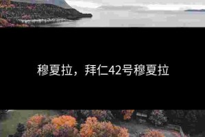 穆夏拉，拜仁42号穆夏拉