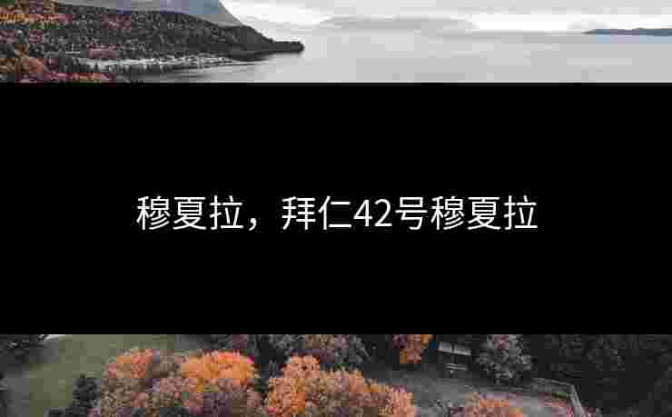 穆夏拉,拜仁42号穆夏拉 穆夏拉,拜仁42号穆夏拉