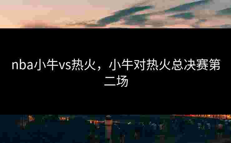 nba小牛vs热火，小牛对热火总决赛第二场