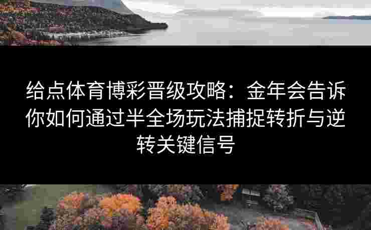 给点体育博彩晋级攻略：金年会告诉你如何通过半全场玩法捕捉转折与逆转关键信号